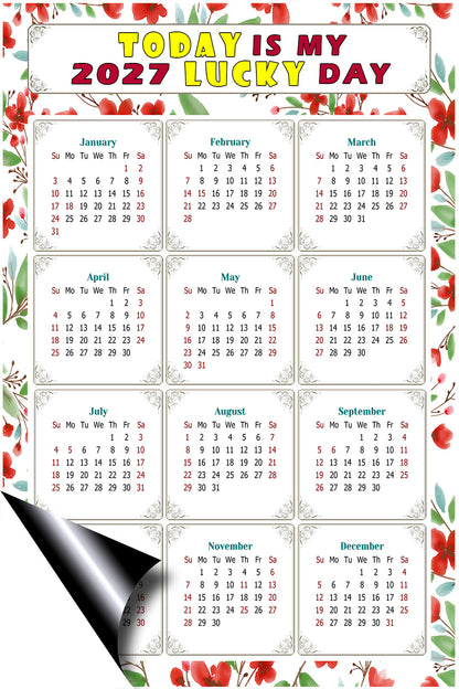 2027 Magnetic Calendar - Calendar Magnets - Today is my Lucky Day - (Fade, Tear, and Water Resistant) - Themed 020