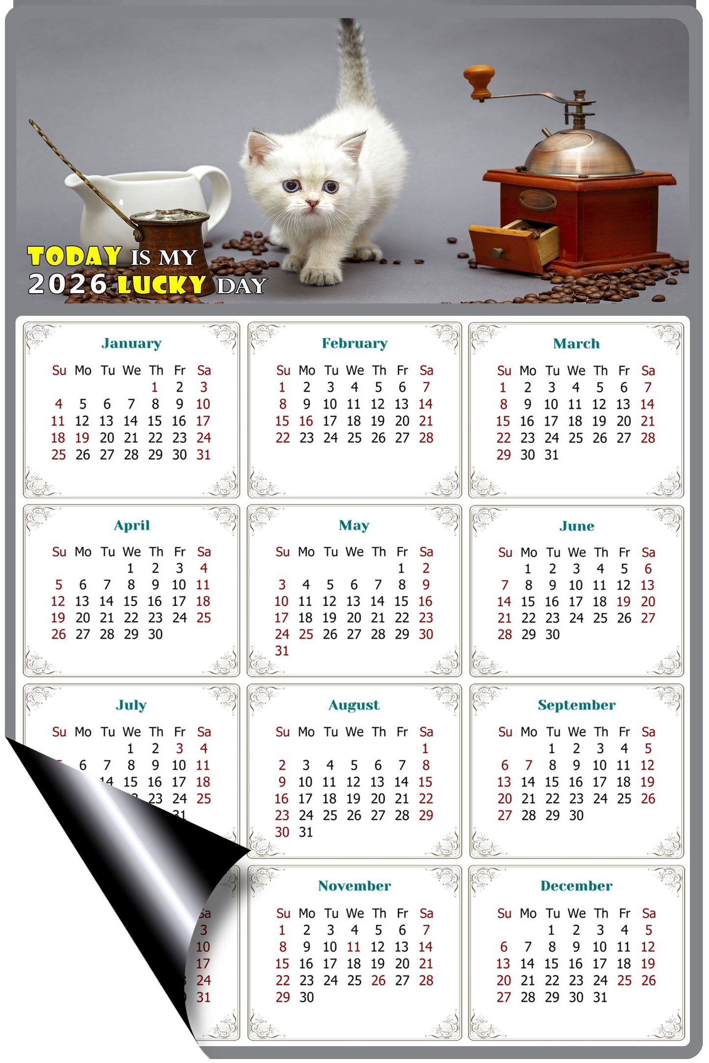 2026 Magnetic Calendar - Today is My Lucky Day (Fade, Tear, and Water Resistant)- Cat Themed 019