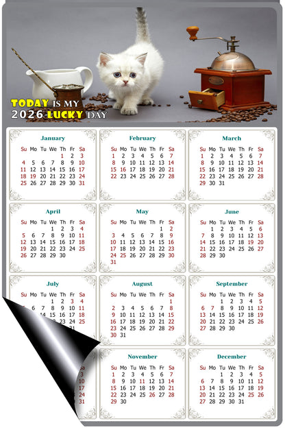 2026 Magnetic Calendar - Today is My Lucky Day (Fade, Tear, and Water Resistant)- Cat Themed 019
