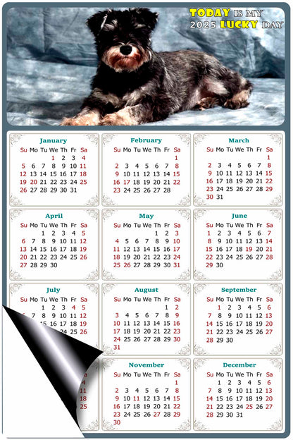 2025 Magnetic Calendar - Today is My Lucky Day (Fade, Tear, and Water Resistant)- Dogs Themed 010