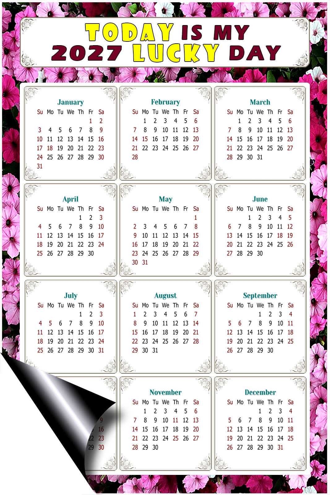 2027 Magnetic Calendar - Calendar Magnets - Today is my Lucky Day - (Fade, Tear, and Water Resistant) - Themed 027