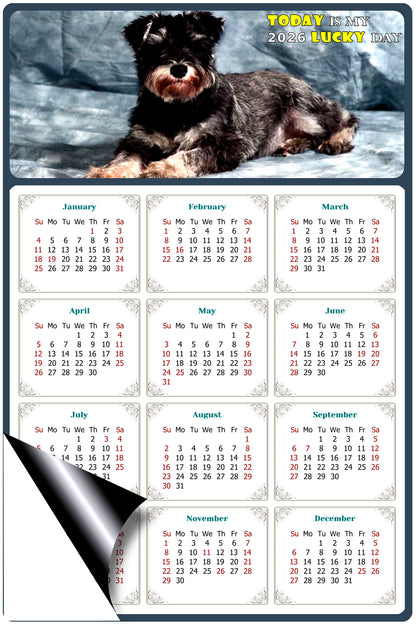 2026 Magnetic Calendar - Today is My Lucky Day (Fade, Tear, and Water Resistant)- Dogs Themed 010