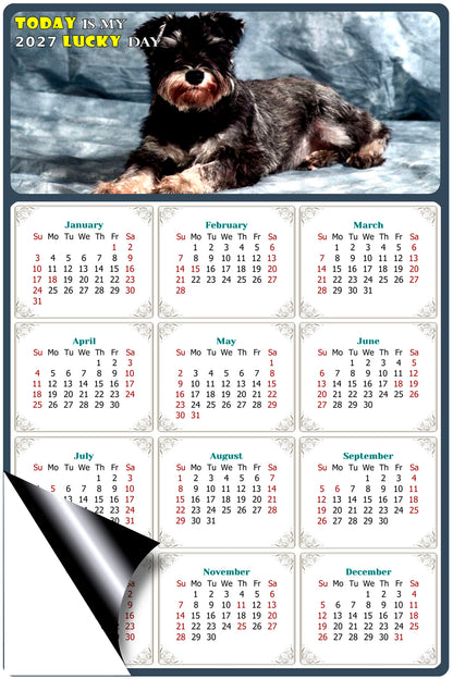 2027 Magnetic Calendar - Today is My Lucky Day (Fade, Tear, and Water Resistant)- Dogs Themed 010