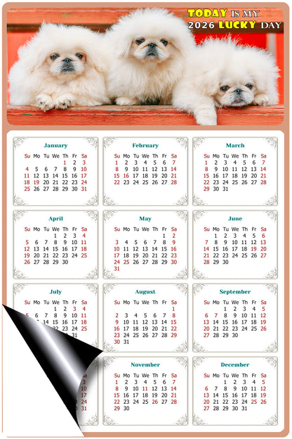 2026 Magnetic Calendar - Today is My Lucky Day (Fade, Tear, and Water Resistant)- Dogs Themed 022