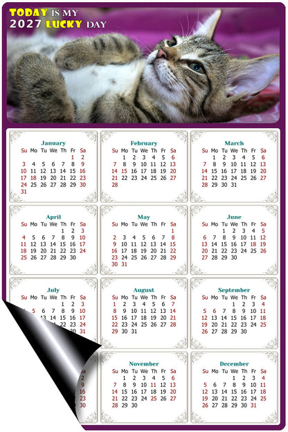 2027 Magnetic Calendar - Today is My Lucky Day (Fade, Tear, and Water Resistant)- Cat Themed 08