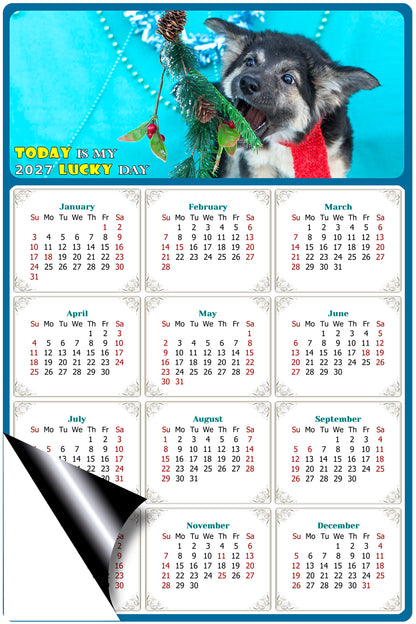 2027 Magnetic Calendar - Today is My Lucky Day (Fade, Tear, and Water Resistant)- Dogs Themed 020