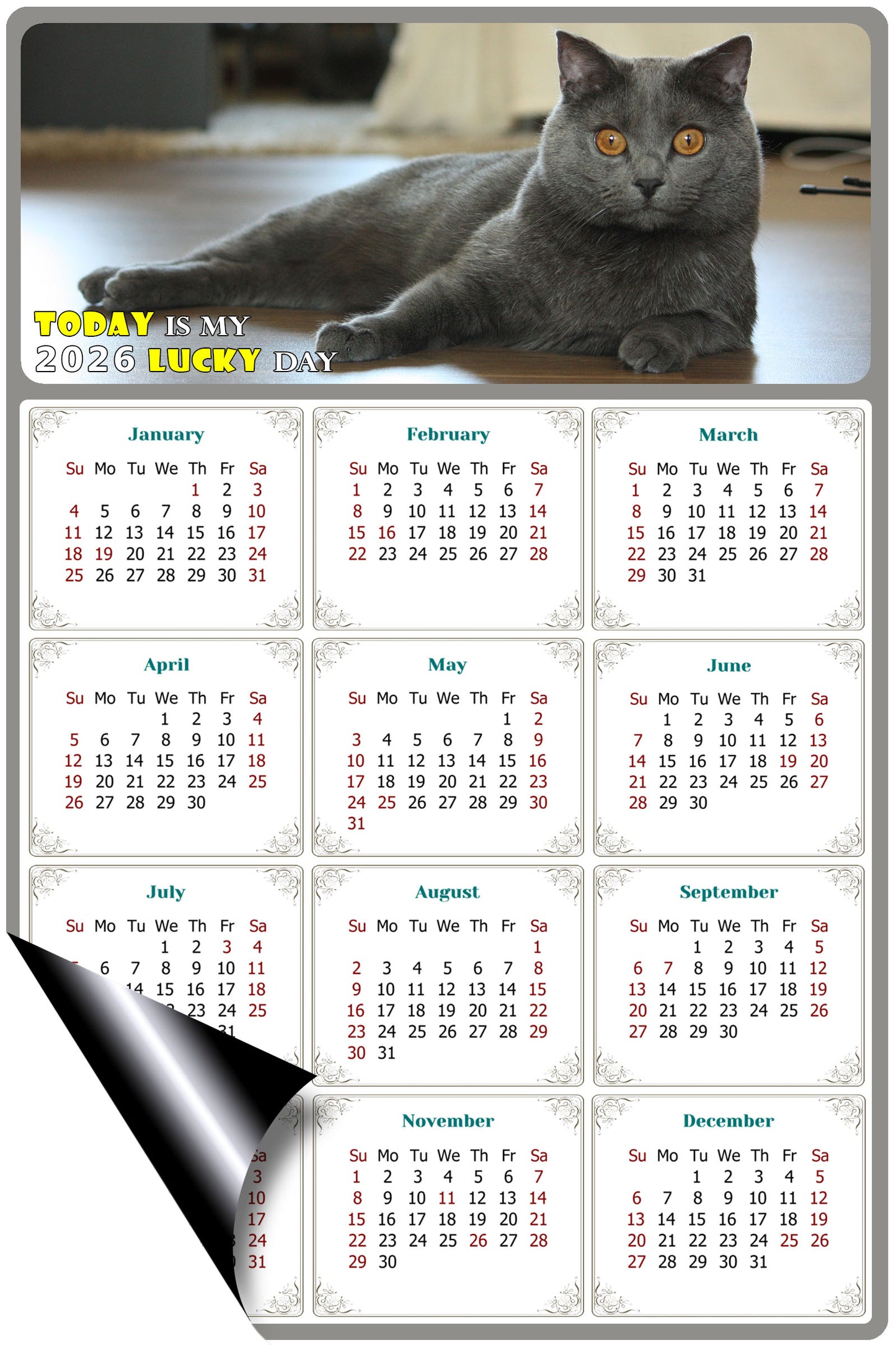2026 Magnetic Calendar - Today is My Lucky Day (Fade, Tear, and Water Resistant)- Cat Themed 014