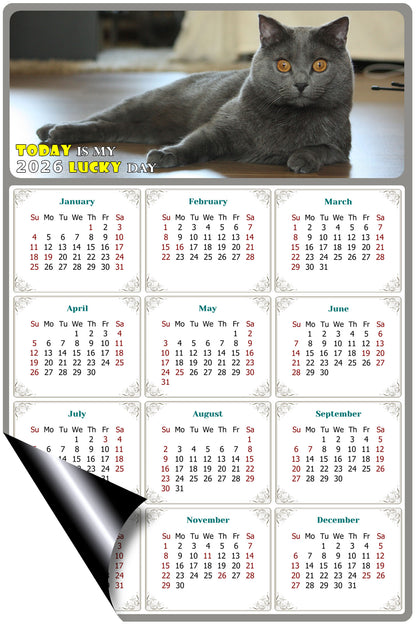 2026 Magnetic Calendar - Today is My Lucky Day (Fade, Tear, and Water Resistant)- Cat Themed 014