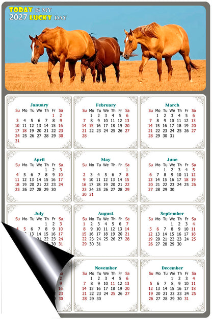 2027 Magnetic Calendar - Calendar Magnets - Today is my Lucky Day - (Fade, Tear, and Water Resistant) - Horses Themed 017