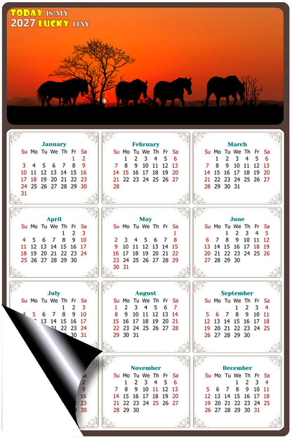 2027 Magnetic Calendar - Calendar Magnets - Today is my Lucky Day - (Fade, Tear, and Water Resistant) - Horses Themed 011