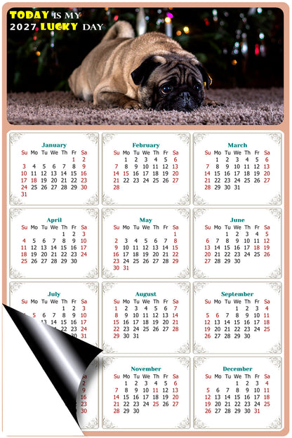 2027 Magnetic Calendar - Today is My Lucky Day (Fade, Tear, and Water Resistant)- Dogs Themed 02