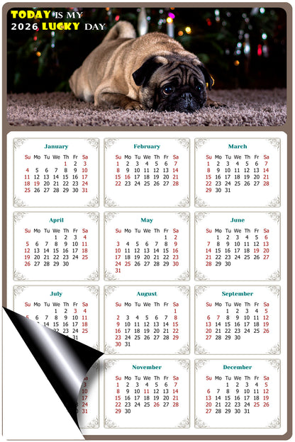 2026 Magnetic Calendar - Today is My Lucky Day (Fade, Tear, and Water Resistant)- Dogs Themed 02