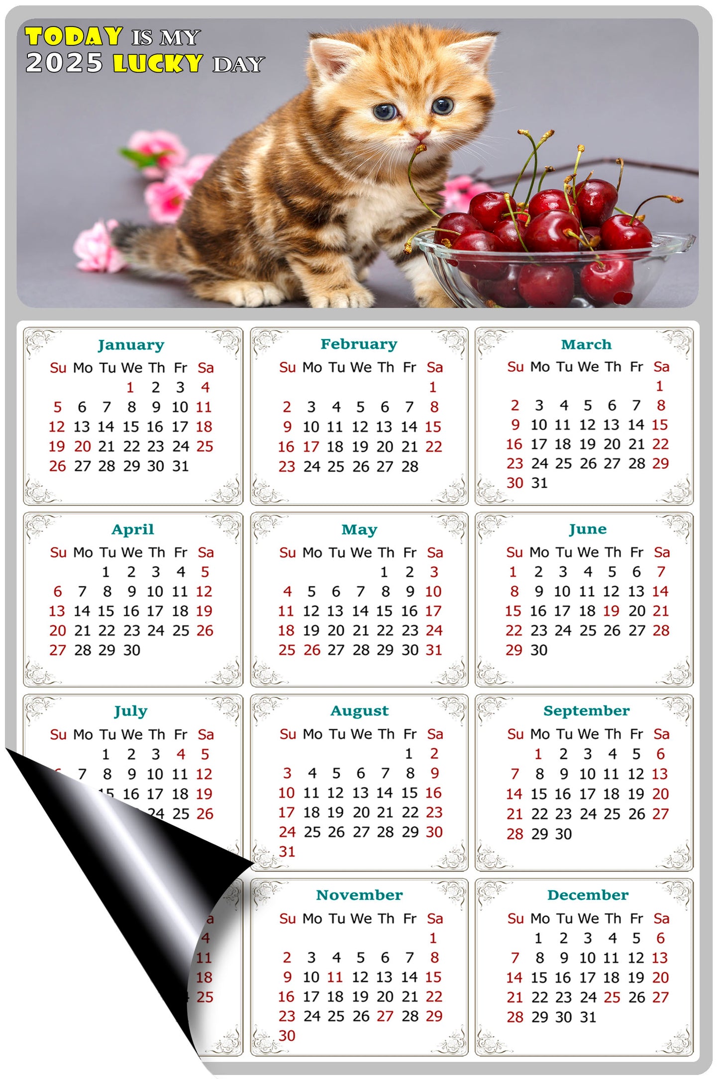 2025 Magnetic Calendar - Today is My Lucky Day (Fade, Tear, and Water Resistant)- Cat Themed 016