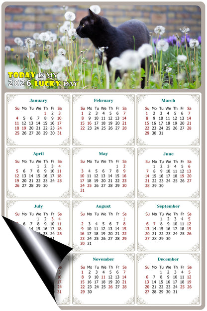 2026 Magnetic Calendar - Today is My Lucky Day (Fade, Tear, and Water Resistant)- Cat Themed 05
