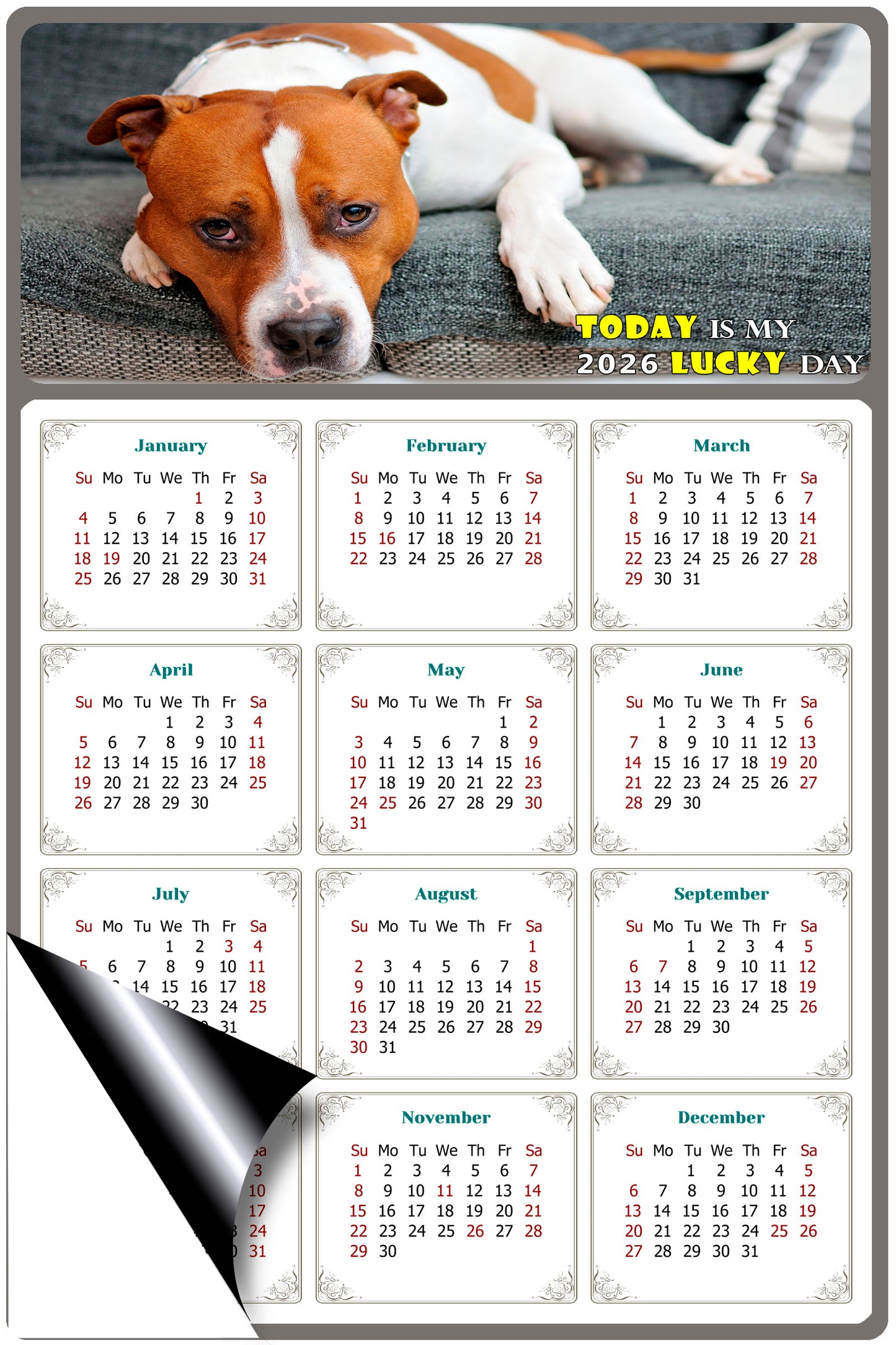 2026 Magnetic Calendar - Today is My Lucky Day (Fade, Tear, and Water Resistant)- Dogs Themed 017
