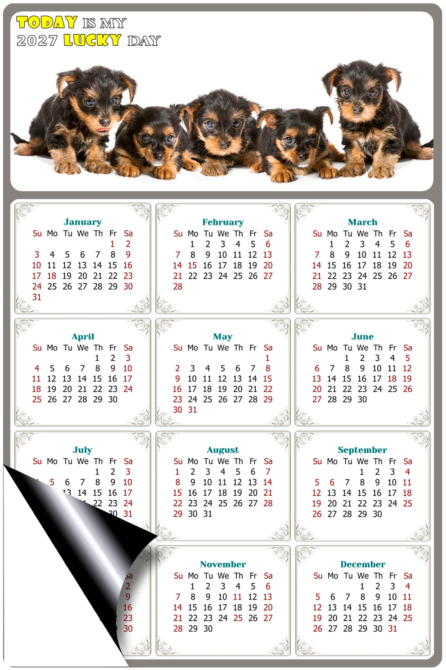 2027 Magnetic Calendar - Today is My Lucky Day (Fade, Tear, and Water Resistant)- Dogs Themed 016