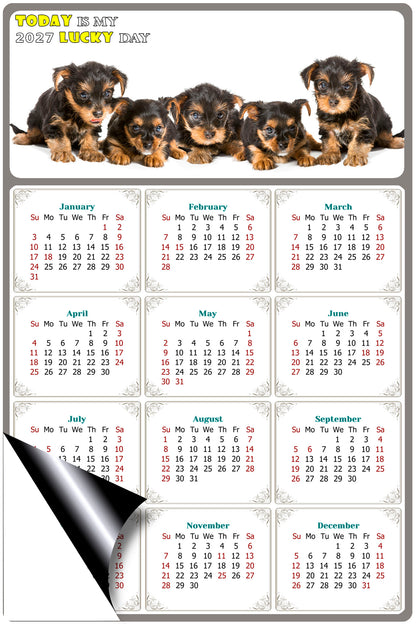 2027 Magnetic Calendar - Today is My Lucky Day (Fade, Tear, and Water Resistant)- Dogs Themed 016