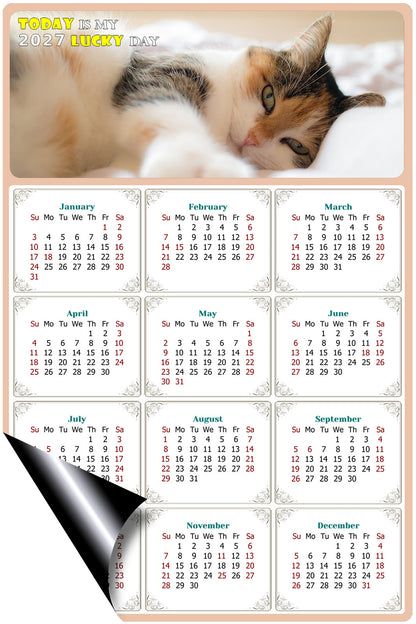 2027 Magnetic Calendar - Today is My Lucky Day (Fade, Tear, and Water Resistant)- Cat Themed 04
