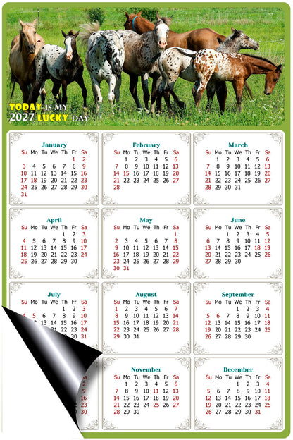 2027 Magnetic Calendar - Calendar Magnets - Today is my Lucky Day - (Fade, Tear, and Water Resistant) - Horses Themed 02
