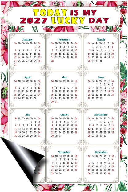 2027 Magnetic Calendar - Calendar Magnets - Today is my Lucky Day - (Fade, Tear, and Water Resistant) - Themed 018