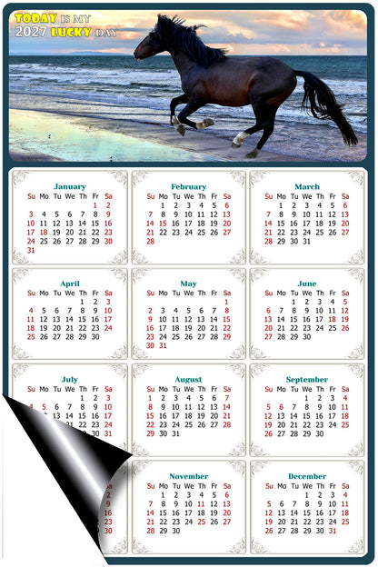 2027 Magnetic Calendar - Calendar Magnets - Today is my Lucky Day - (Fade, Tear, and Water Resistant) - Horses Themed 015
