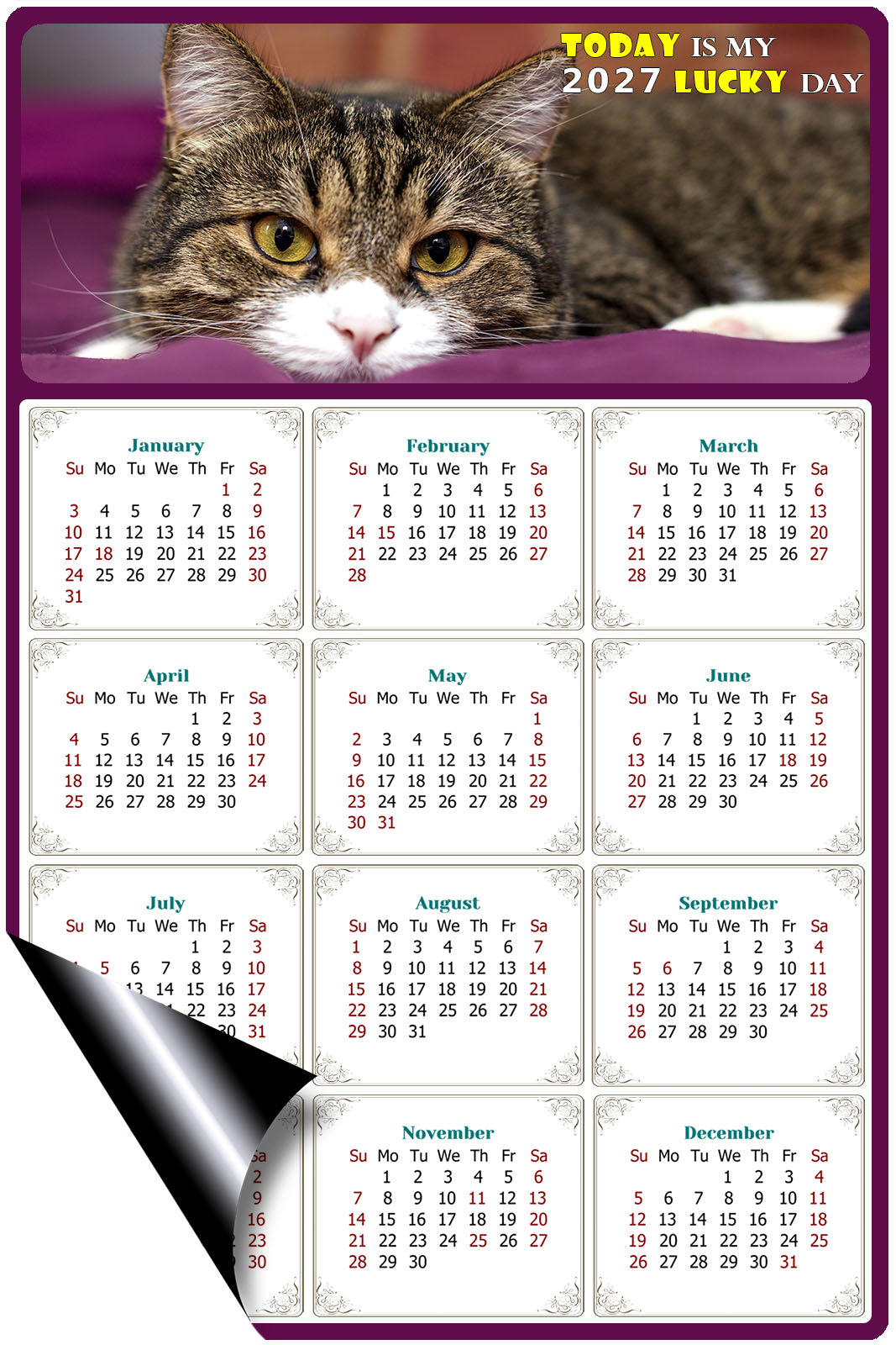 2027 Magnetic Calendar - Today is My Lucky Day (Fade, Tear, and Water Resistant)- Cat Themed 022