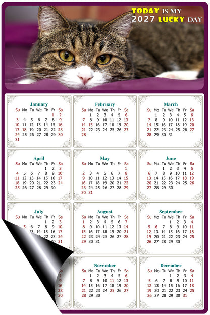 2027 Magnetic Calendar - Today is My Lucky Day (Fade, Tear, and Water Resistant)- Cat Themed 022