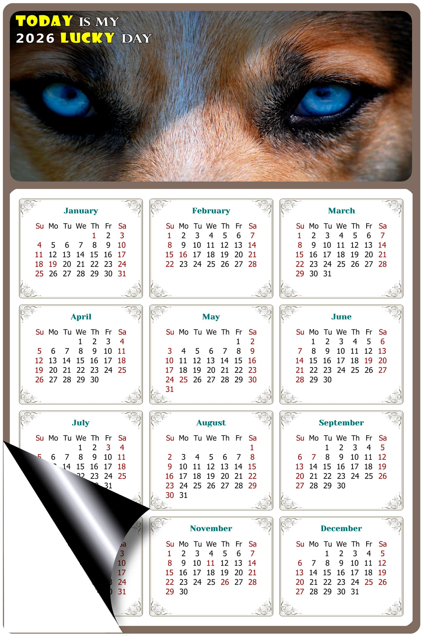 2026 Magnetic Calendar - Today is My Lucky Day (Fade, Tear, and Water Resistant)- Dogs Themed 03