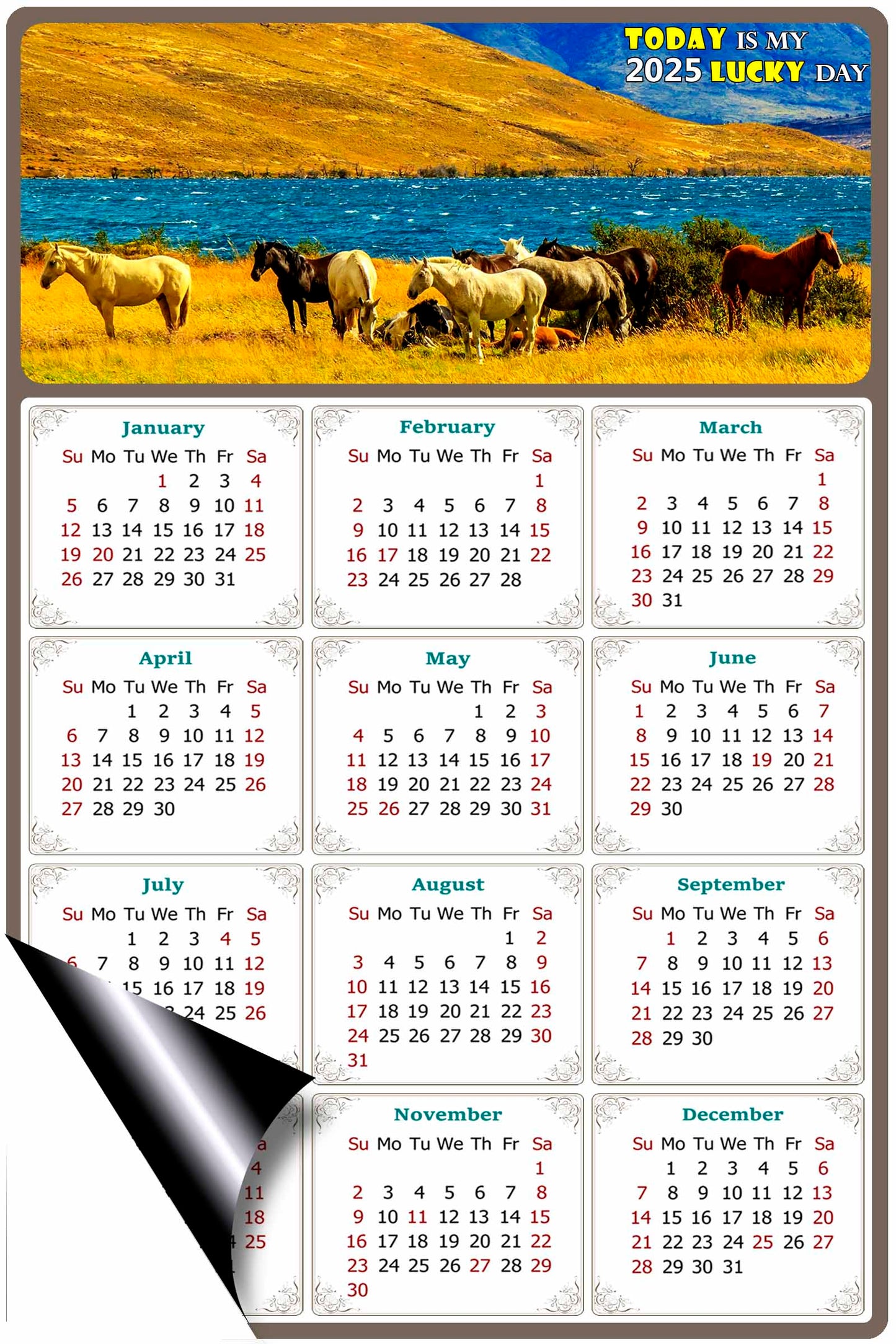 2025 Magnetic Calendar - Calendar Magnets - Today is my Lucky Day - (Fade, Tear, and Water Resistant) - Horses Themed 012