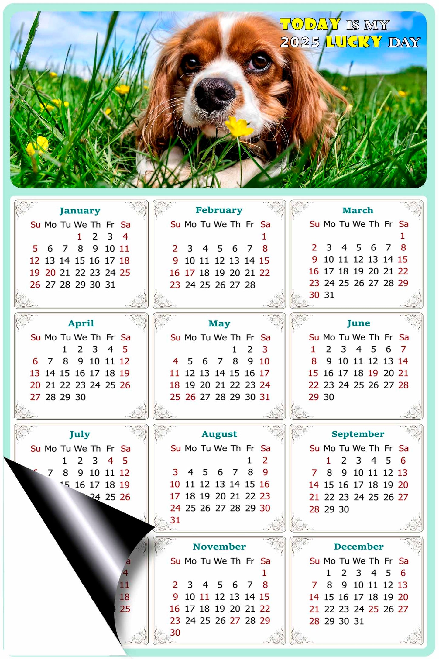2025 Magnetic Calendar - Today is My Lucky Day (Fade, Tear, and Water Resistant)- Dogs Themed 06
