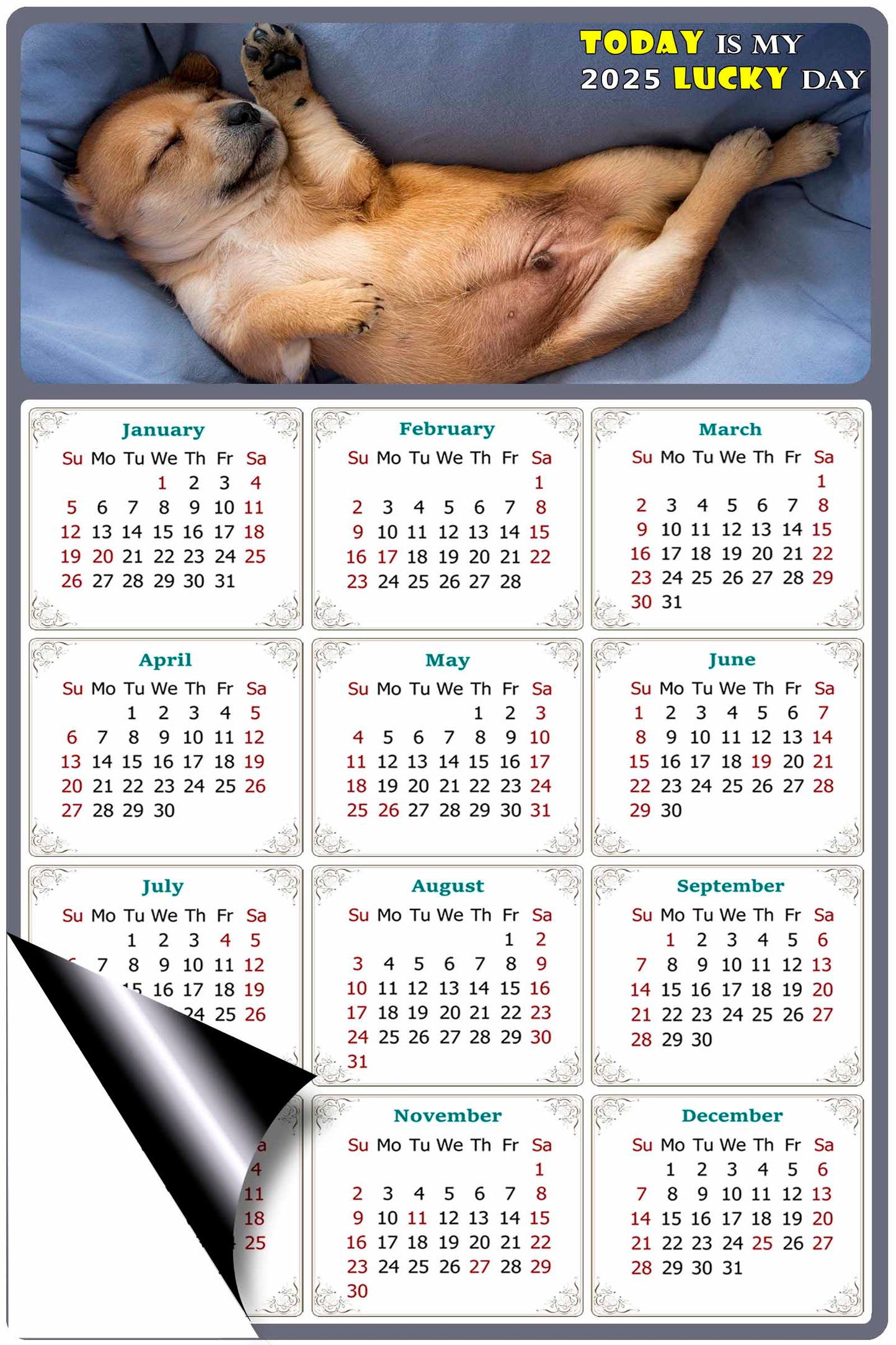 2025 Magnetic Calendar - Today is My Lucky Day (Fade, Tear, and Water Resistant)- Dogs Themed 013