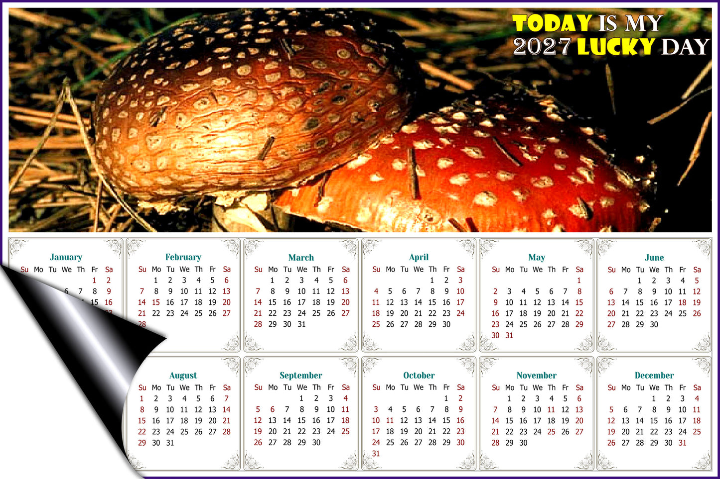 2027 Magnetic Calendar - Calendar Magnets - Today is my Lucky Day - Edition #38