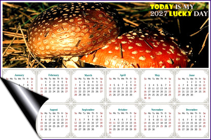 2027 Magnetic Calendar - Calendar Magnets - Today is my Lucky Day - Edition #38
