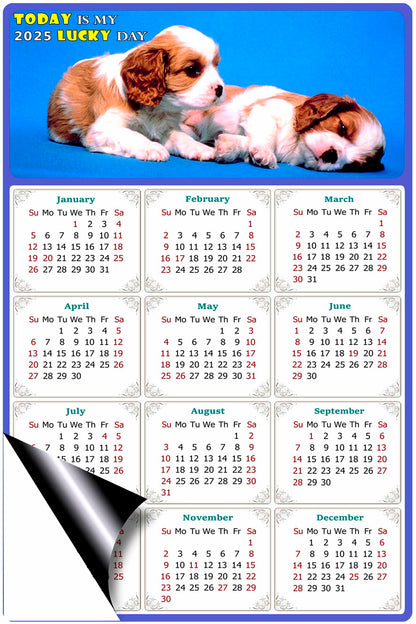2025 Magnetic Calendar - Today is My Lucky Day (Fade, Tear, and Water Resistant)- Dogs Themed 011
