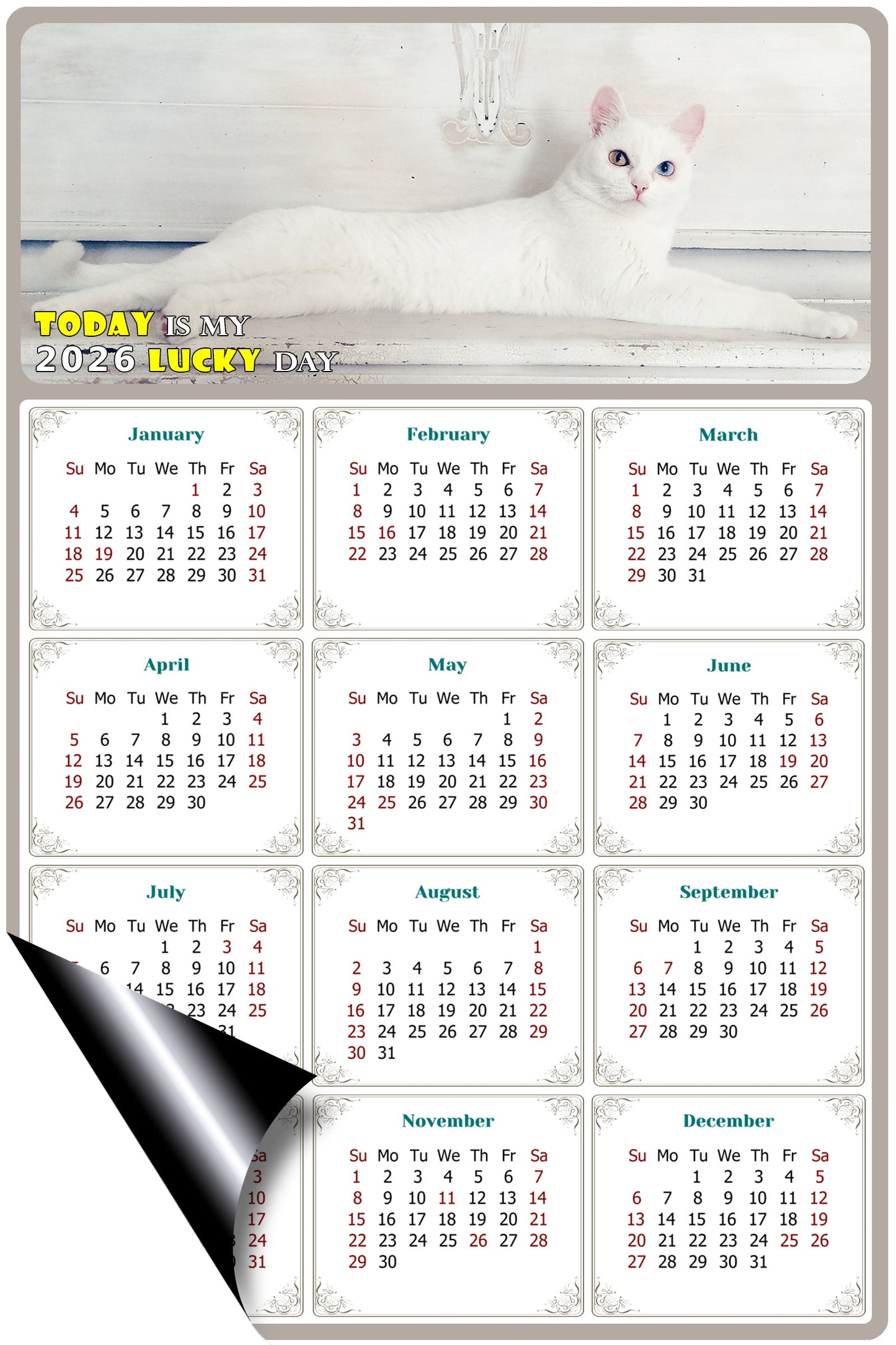 2026 Magnetic Calendar - Today is My Lucky Day (Fade, Tear, and Water Resistant)- Cat Themed 06