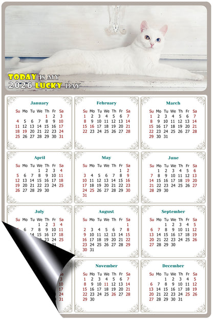 2026 Magnetic Calendar - Today is My Lucky Day (Fade, Tear, and Water Resistant)- Cat Themed 06