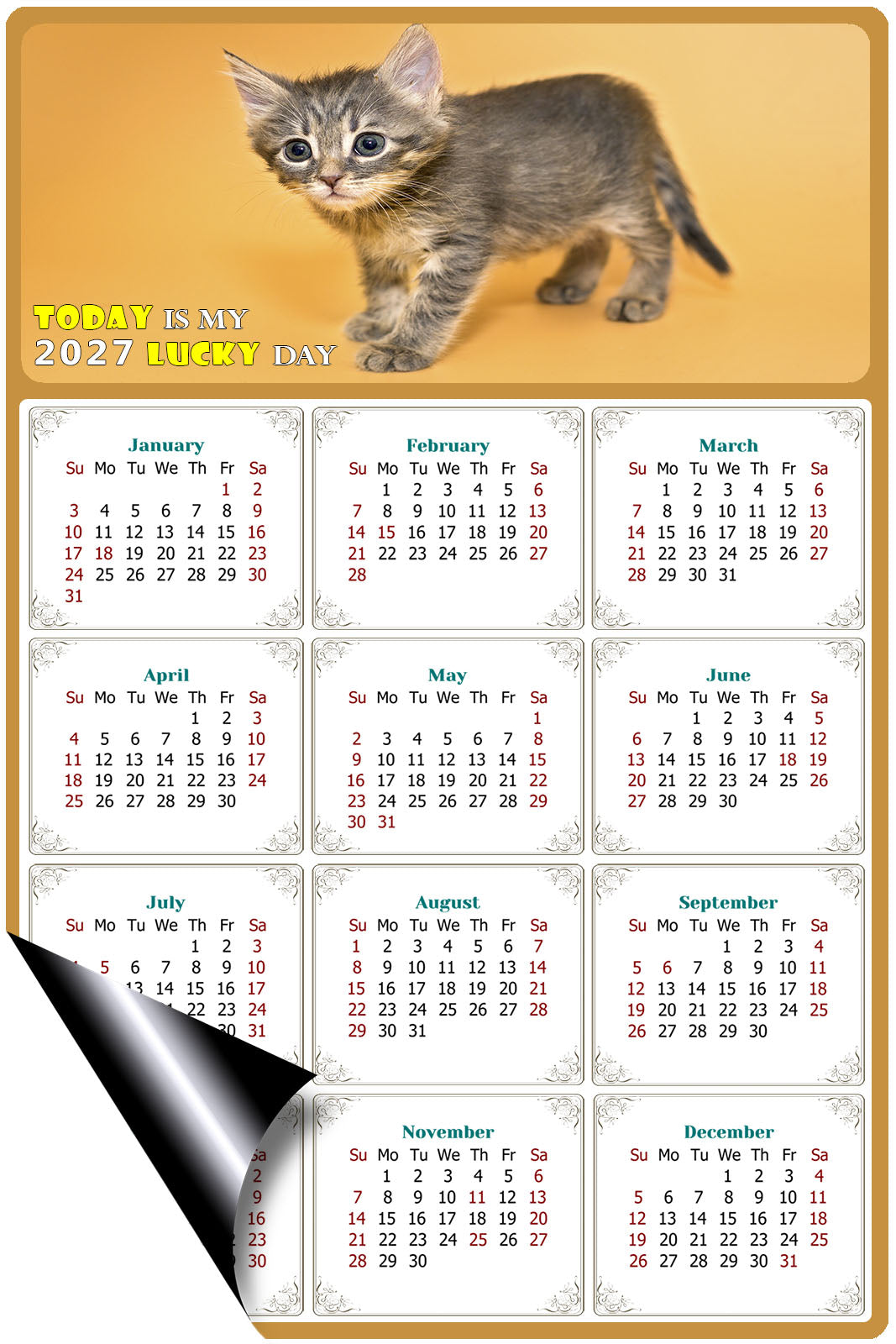 2027 Magnetic Calendar - Today is My Lucky Day (Fade, Tear, and Water Resistant)- Cat Themed 018