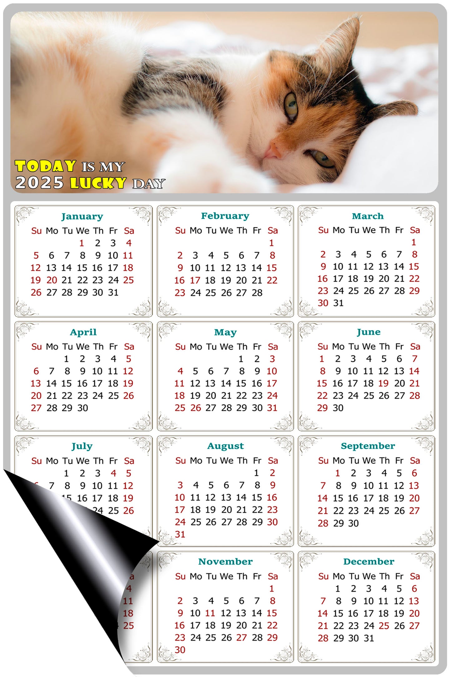 2025 Magnetic Calendar - Today is My Lucky Day (Fade, Tear, and Water Resistant)- Cat Themed 04