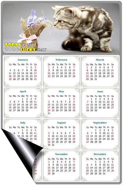 2026 Magnetic Calendar - Today is My Lucky Day (Fade, Tear, and Water Resistant)- Cat Themed 025