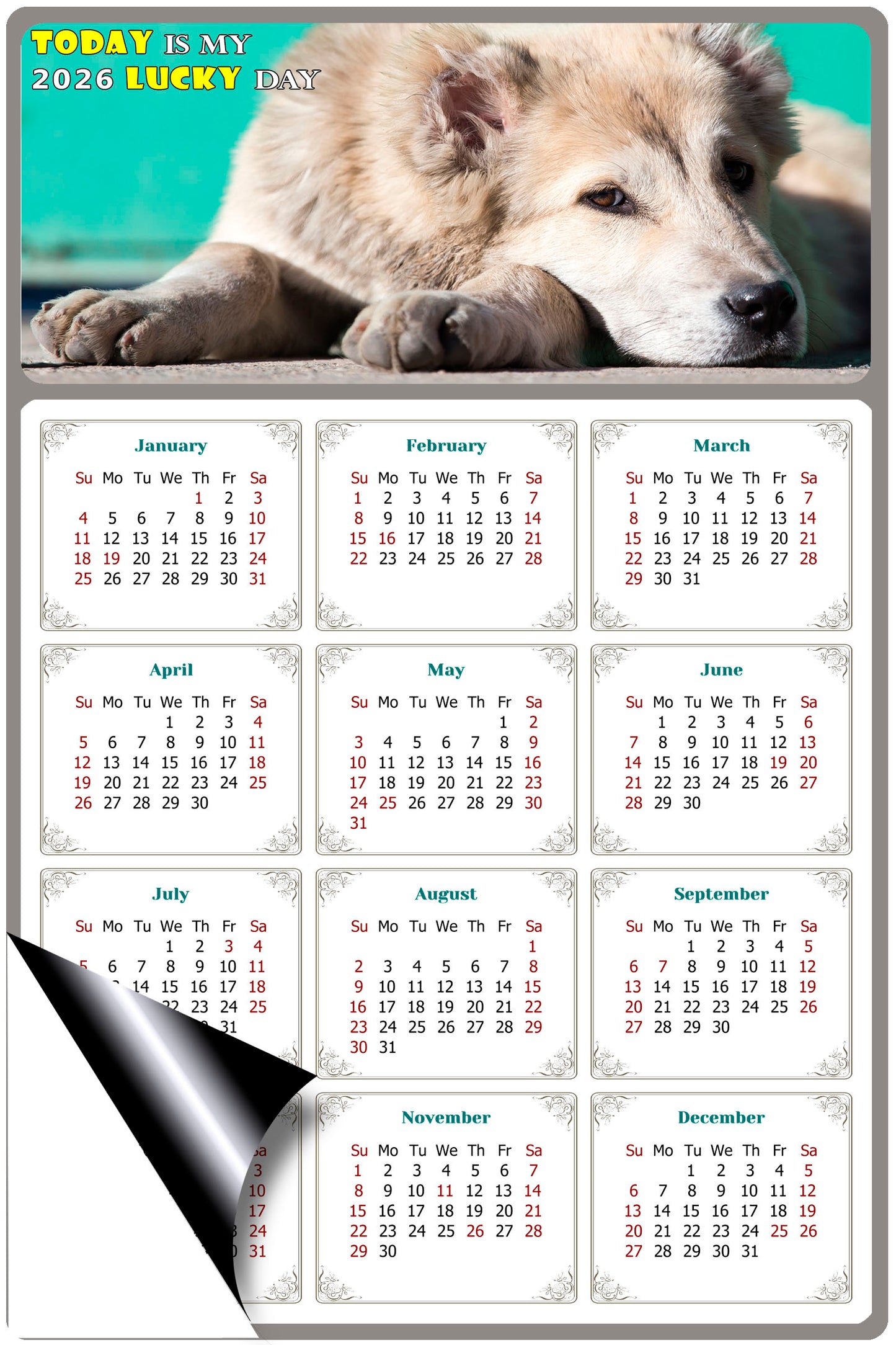 2026 Magnetic Calendar - Today is My Lucky Day (Fade, Tear, and Water Resistant)- Dogs Themed 015