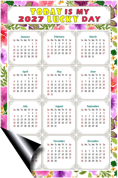 2027 Magnetic Calendar - Calendar Magnets - Today is my Lucky Day - (Fade, Tear, and Water Resistant) - Themed 023