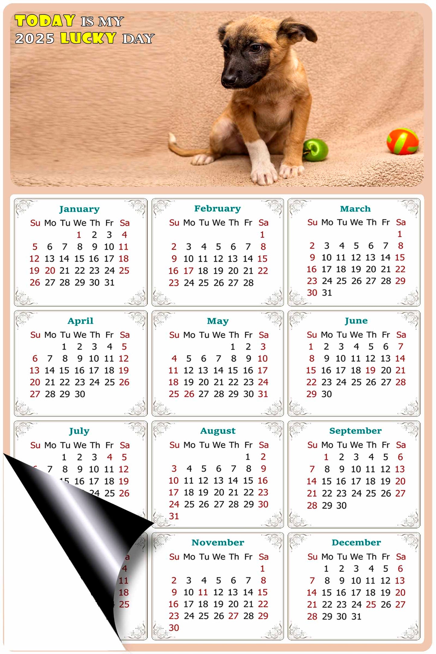2025 Magnetic Calendar - Today is My Lucky Day (Fade, Tear, and Water Resistant)- Dogs Themed 021
