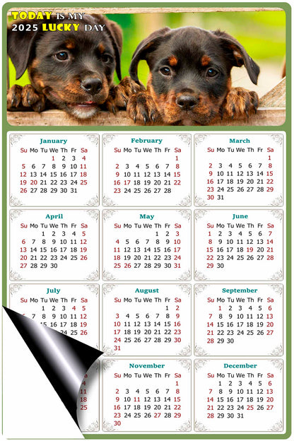 2025 Magnetic Calendar - Today is My Lucky Day (Fade, Tear, and Water Resistant)- Dogs Themed 04