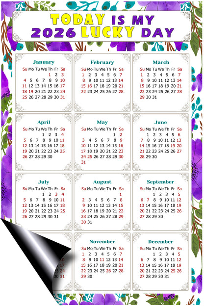 2026 Peel & Stick Calendar - Today is my Lucky Day Removable - 024
