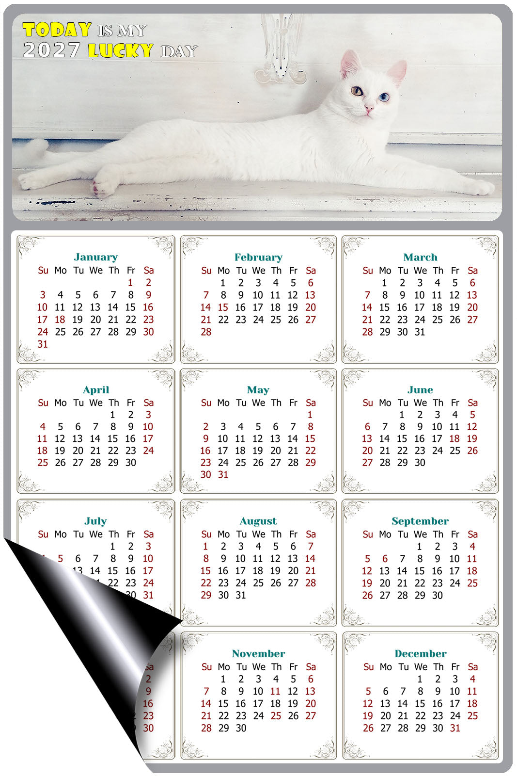 2027 Magnetic Calendar - Today is My Lucky Day (Fade, Tear, and Water Resistant)- Cat Themed 06