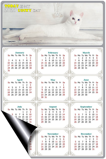 2027 Magnetic Calendar - Today is My Lucky Day (Fade, Tear, and Water Resistant)- Cat Themed 06