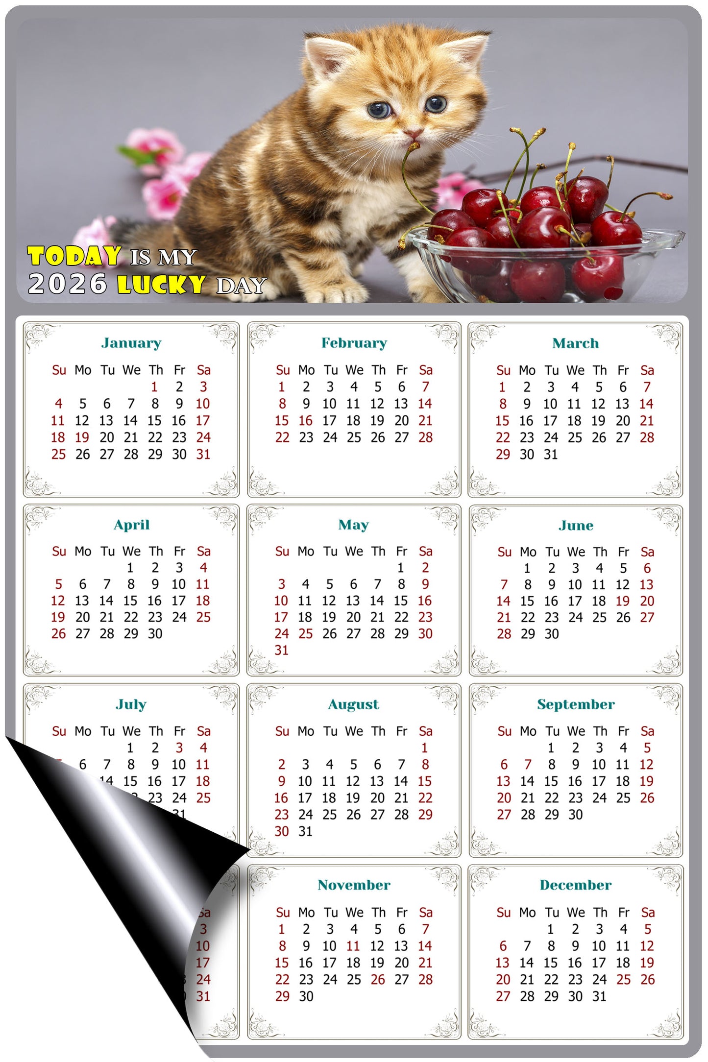 2026 Magnetic Calendar - Today is My Lucky Day (Fade, Tear, and Water Resistant)- Cat Themed 016