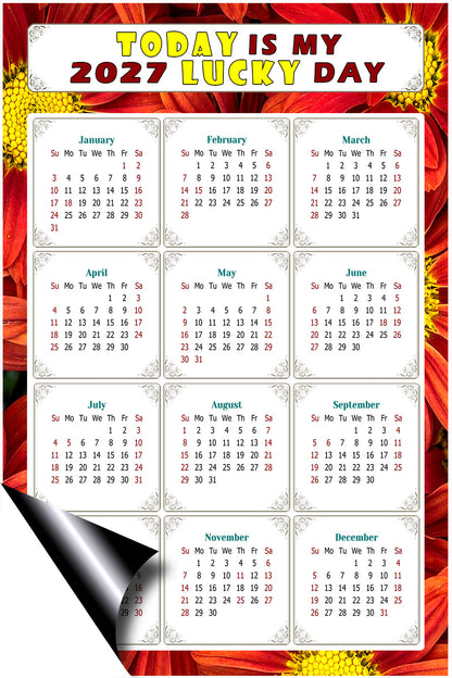 2027 Magnetic Calendar - Calendar Magnets - Today is my Lucky Day - (Fade, Tear, and Water Resistant) - Themed 031