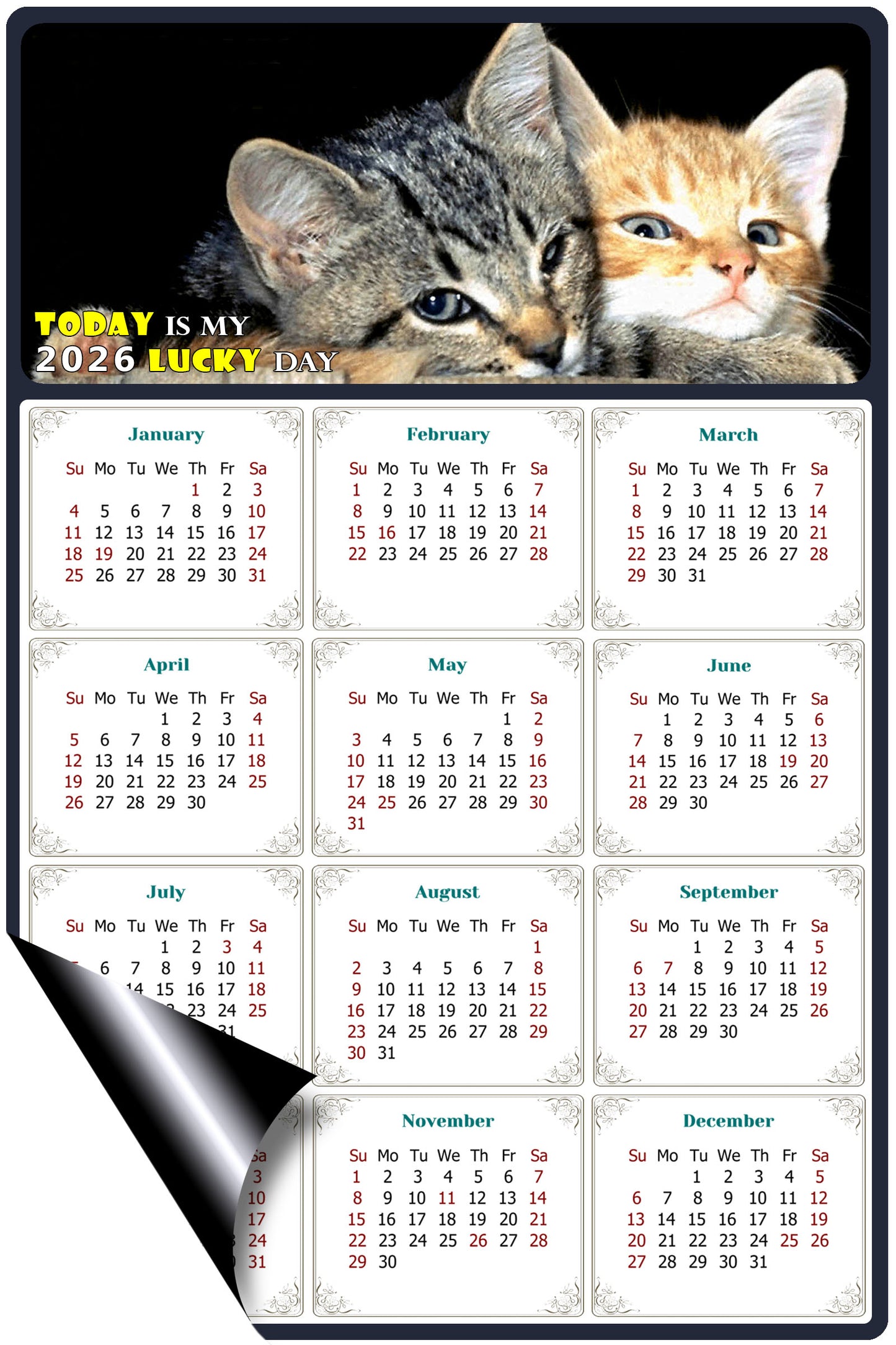 2026 Magnetic Calendar - Today is My Lucky Day (Fade, Tear, and Water Resistant)- Cat Themed 010
