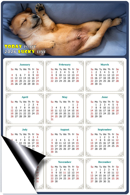 2026 Magnetic Calendar - Today is My Lucky Day (Fade, Tear, and Water Resistant)- Dogs Themed 013